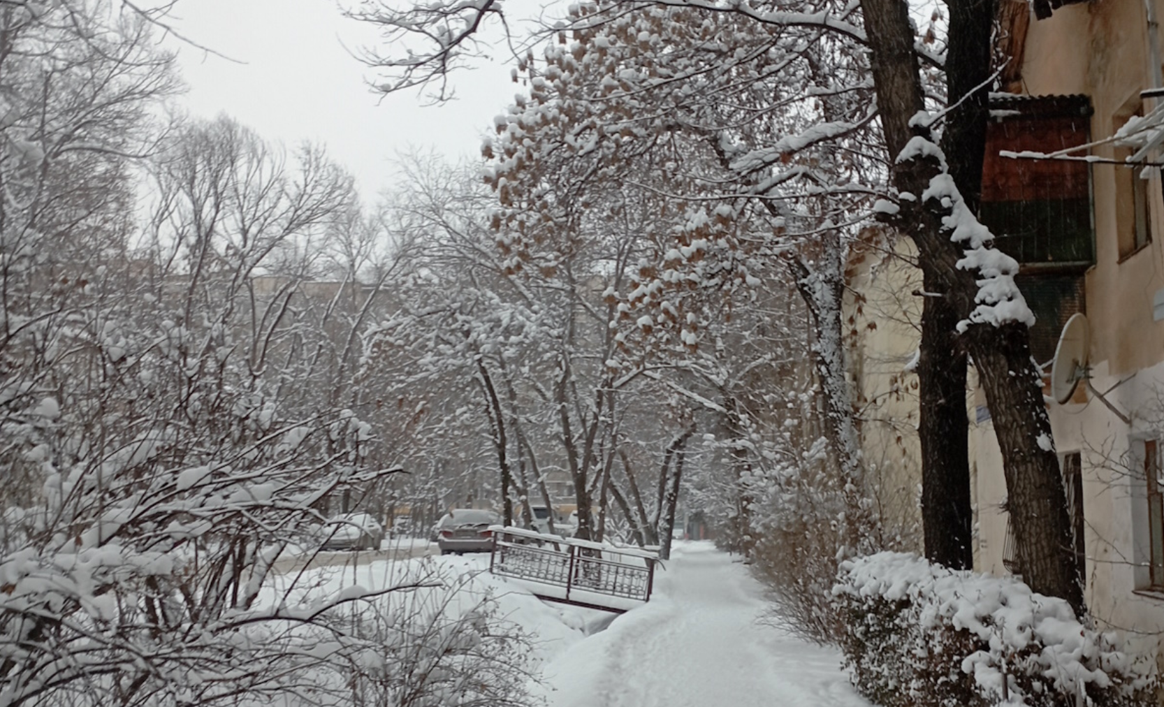 Какой будет эта зима в Казахстане