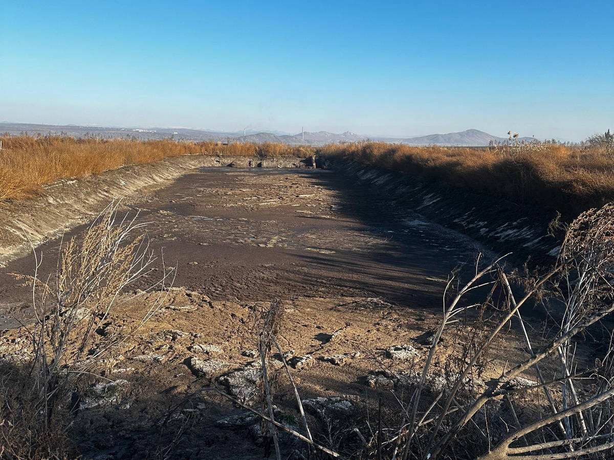 В ВКО сельчане пожаловались на свиноферму