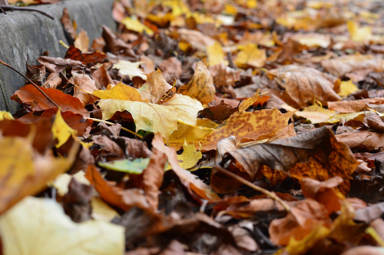 В Казахстане потеплеет до 19 градусов тепла