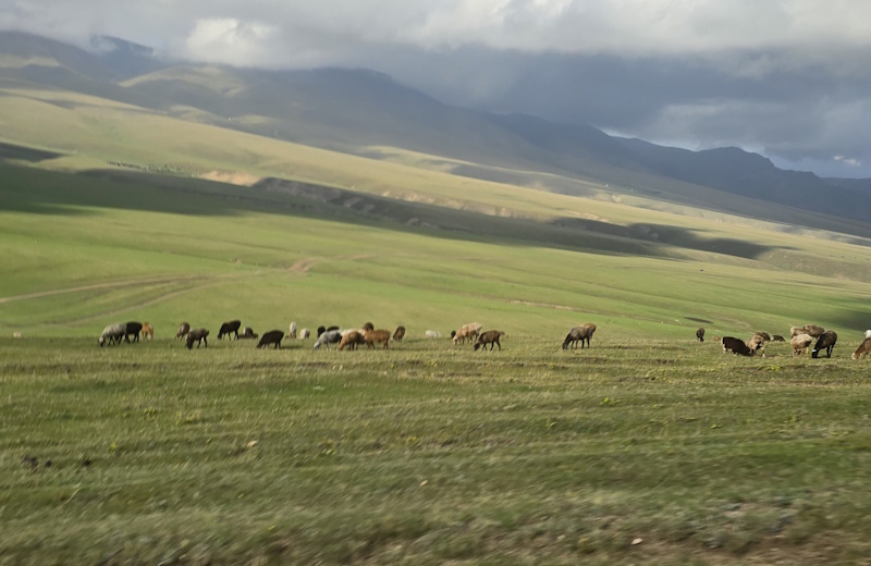 Участки изъяли у недропользователей в Костанайской области