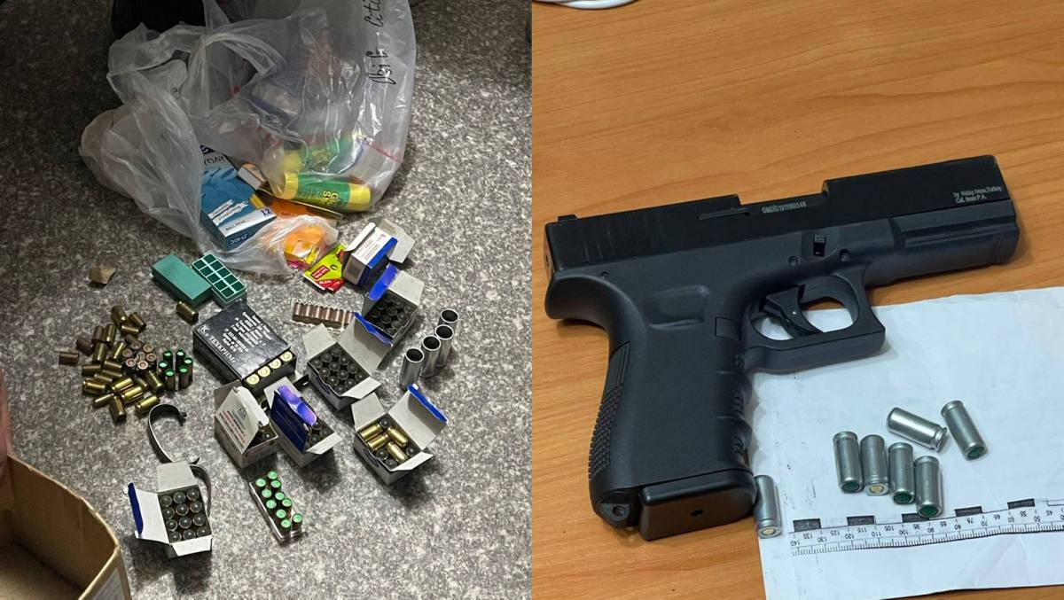 У жителей Костанайской области изъяли оружие и боеприпасы