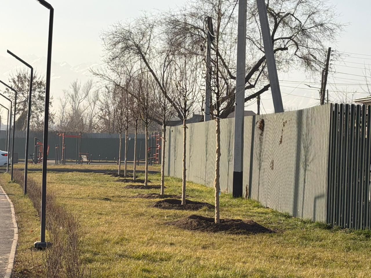 «Таза Қазақстан»: в Алматы продолжается озеленение развязки Сейфуллина–Жансугурова