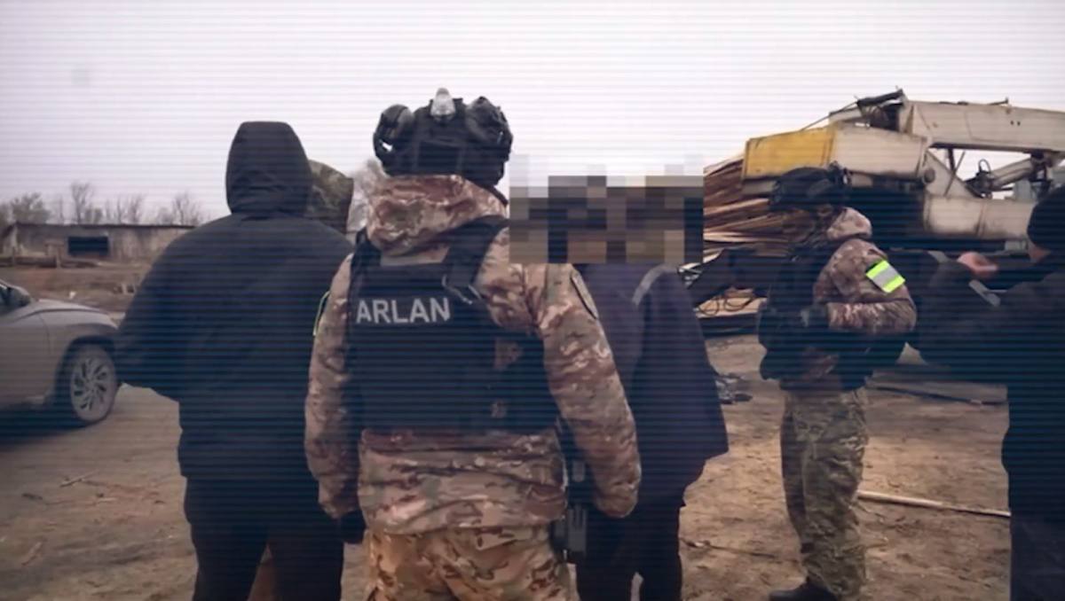 В Костанайской области пресекли схему незаконной вырубки леса