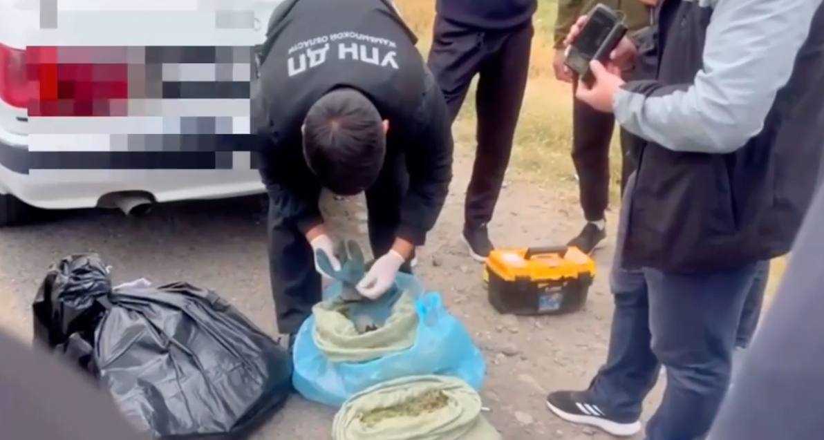 В Жамбылской области полицейские перекрыли 16 каналов поставки наркотиков