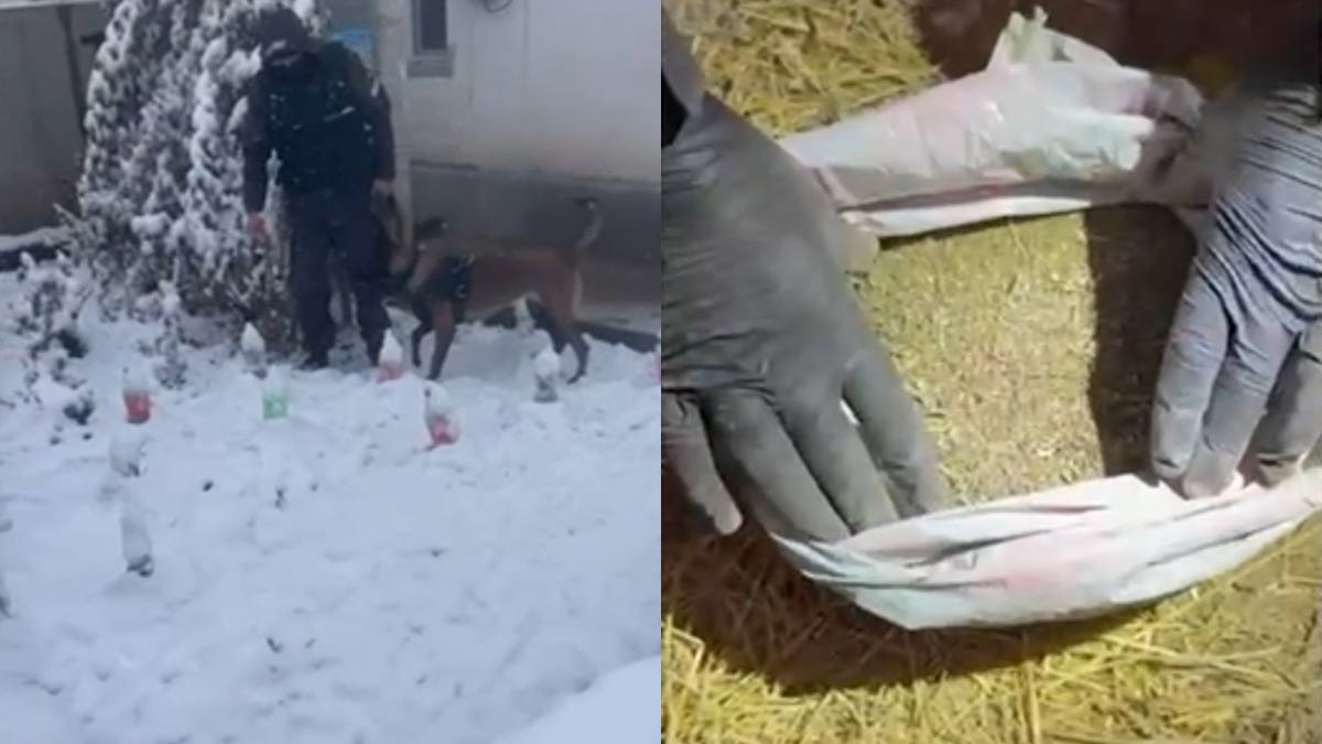 В Алматы полиция пресекла сбыт крупной партии наркотиков