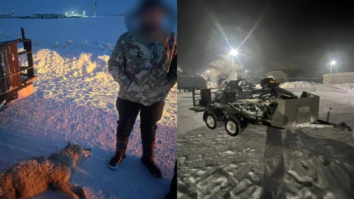 В Абайской области пресечен факт незаконной охоты