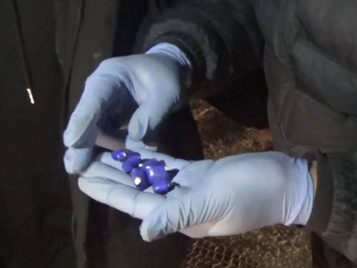 19-летнего закладчика задержали в Павлодаре