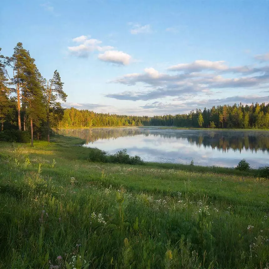 Ученые наконец поняли, почему нам так нравятся красивые вещи