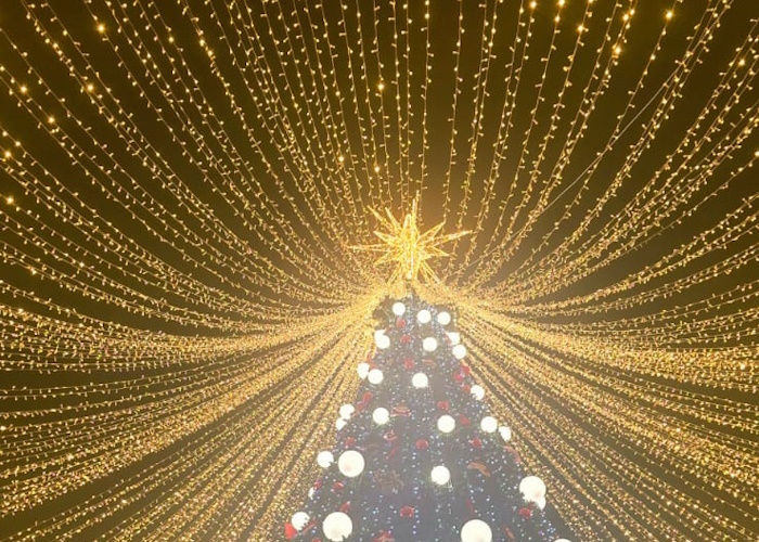 В Шымкенте 21 декабря зажгут главную ёлку