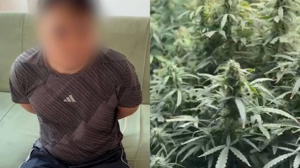 Сотрудник СОБР выявил фитолабораторию в жилом доме в Алматы