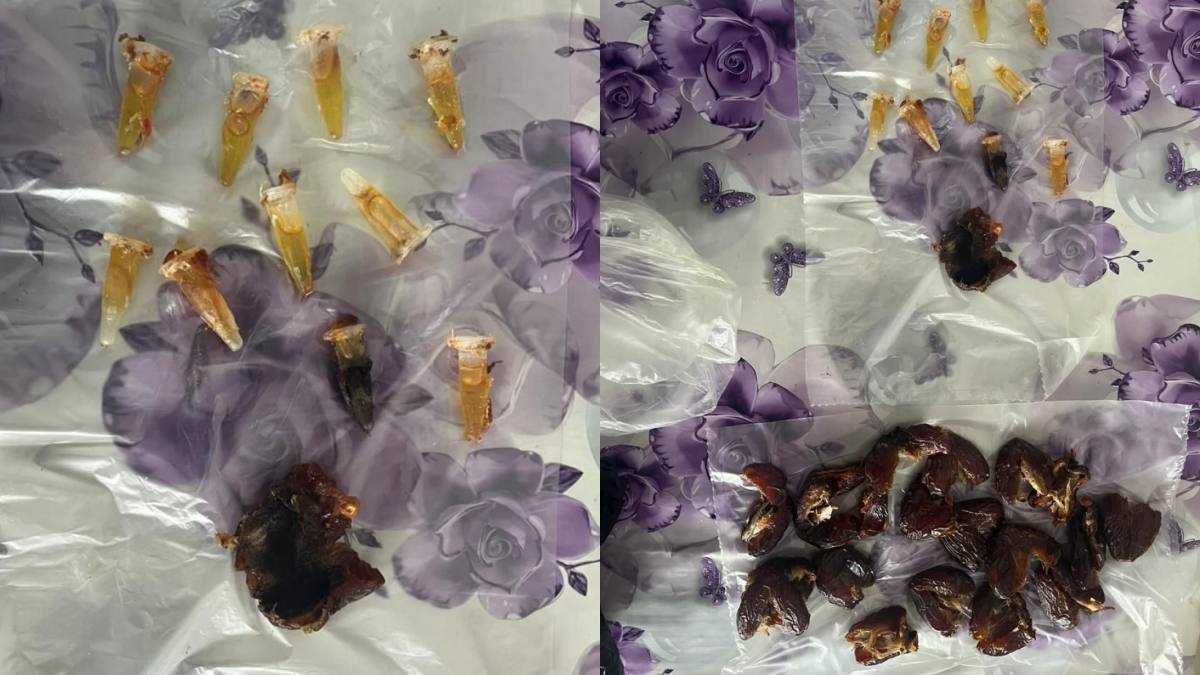 Попытку пронести масло гашиша пресекли в колонии Павлодарской области