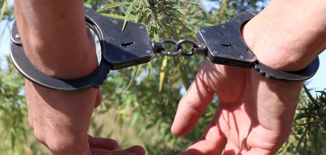 Сбросил начальника в подвал вниз головой