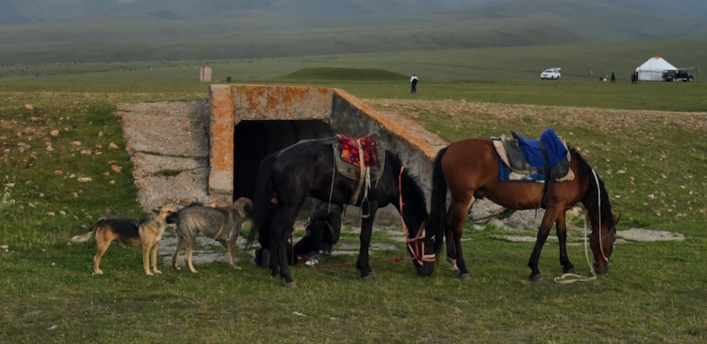 Какие события года Лошади вошли в историю Казахстана