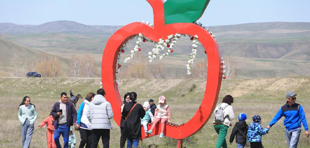 Как развивалась область Жетысу в этом году