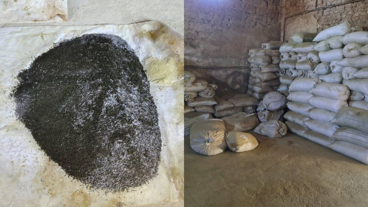 В Туркестанской области полиция выявила подпольный цех и изъяла 2 тонны насвая