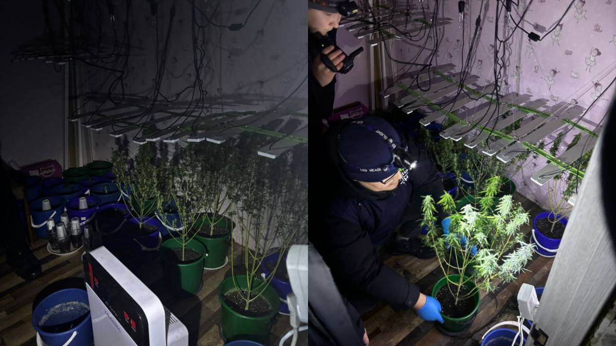 В Уральске полиция ликвидировала нарколабораторию