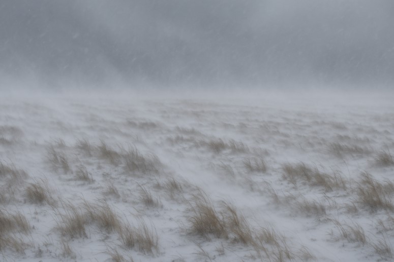 Штормовые предупреждения объявлены по Казахстану