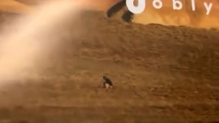 Акимат прокомментировал фотографию мужчины предположительно без штанов в бортовом журнале Scat