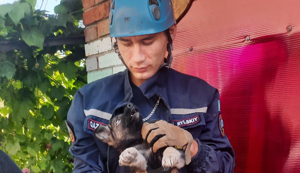 Самые яркие истории спасения в 2025 году