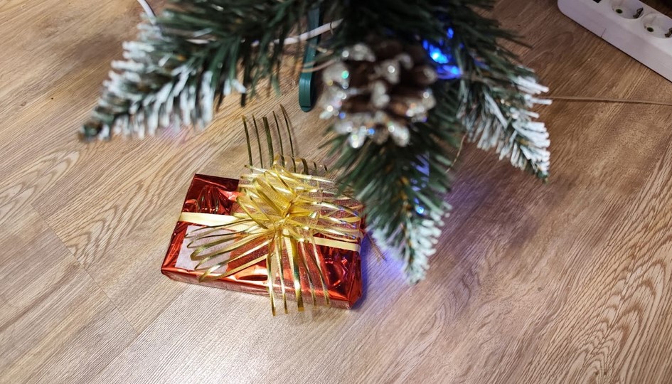 Одиноким дали совет, как встретить Новый год с радостью