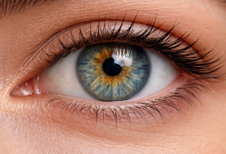 Ученые нашли белок, вызывающий потерю зрения при диабете