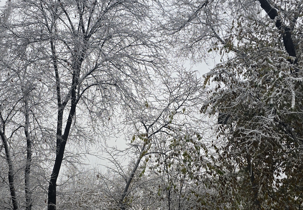 В Астане школьников второй смены перевели на дистанционное обучение