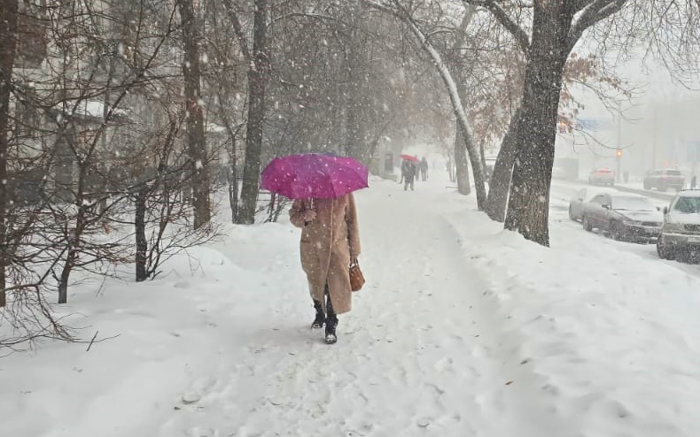 Сильный снег и ветер 30 м/с: синоптики рассказали о погоде на понедельник