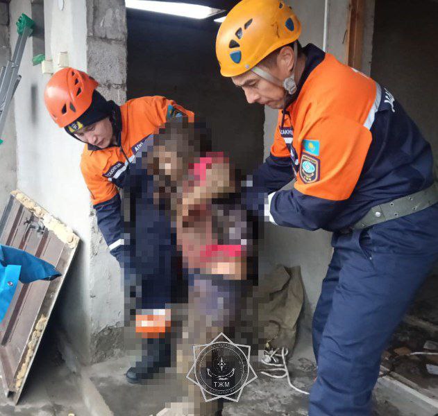 В Жамбылской области в уличный туалет провалилась 11-летняя девочка