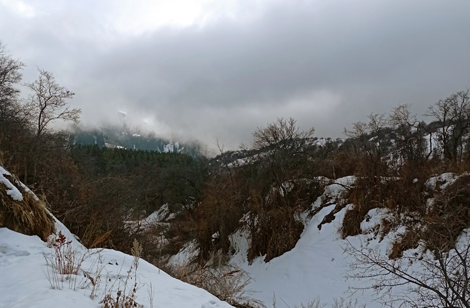 Какой будет погода в Казахстане на выходных