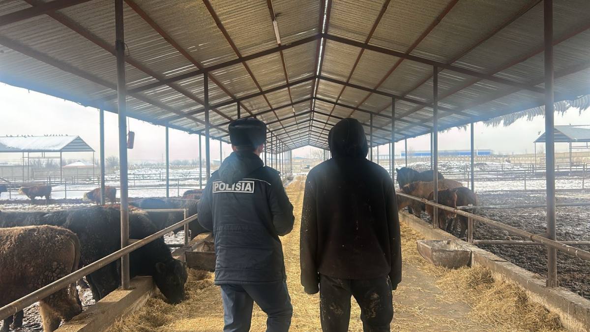 Полиция раскрыла кражу скота на 25 млн тенге в Шымкенте