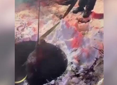 В Акмолинской области спасатели вытащили лошадь из глубокого колодца с водой