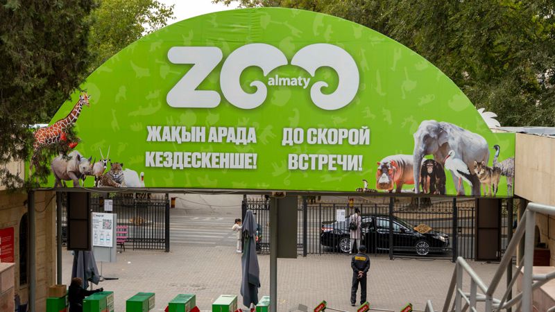 В зоопарке Алматы родились 87 детёнышей за год