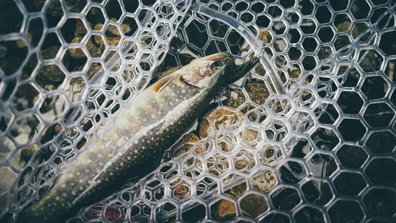 В Акмолинской области оштрафовали охотников и рыболовов на 8,5 млн тенге