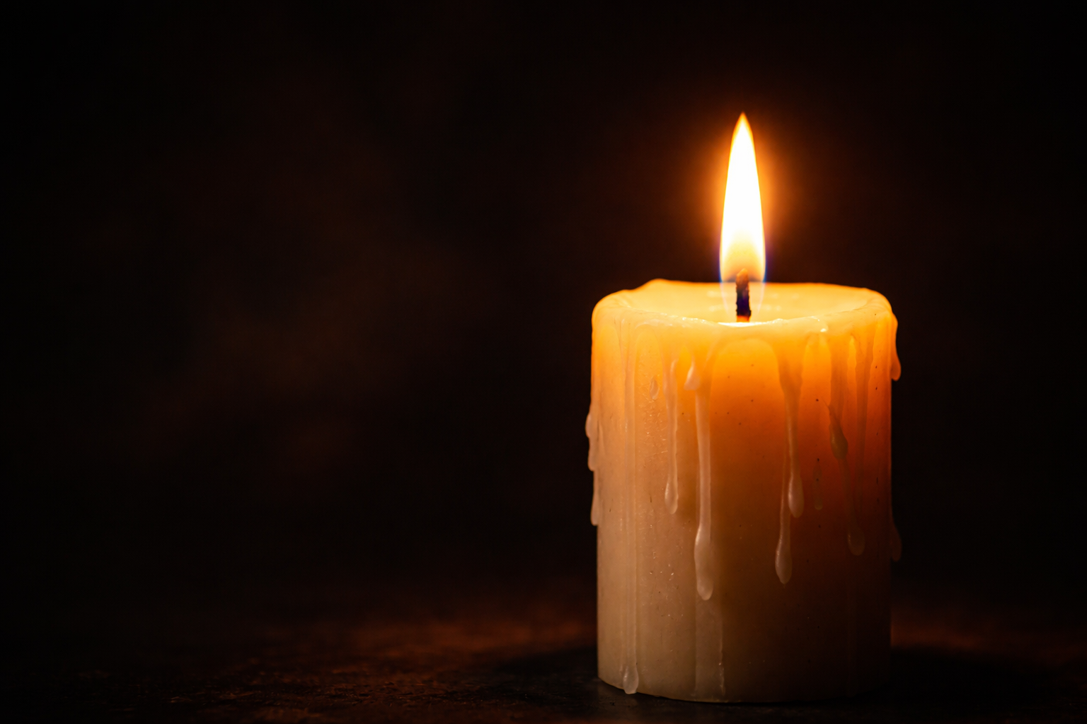 Дочь Томми Ли Джонса нашли мёртвой после встречи Нового года