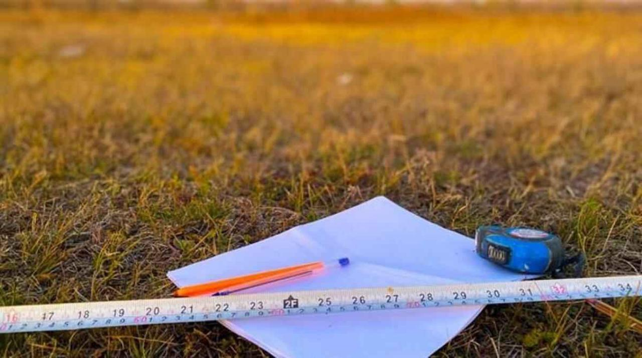 Сколько неиспользуемых земель вернули в госсобственность в 2025 году