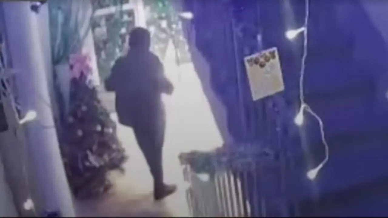 Поджёг ёлку: жителя Темиртау арестовали на 10 суток