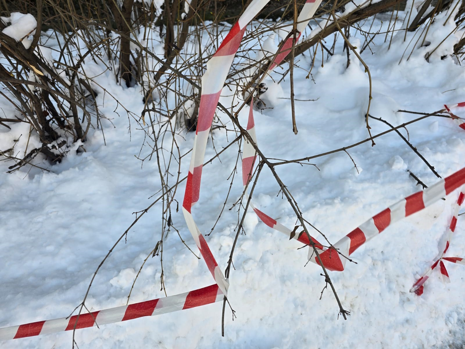 Штормовые предупреждения объявлены по Казахстану