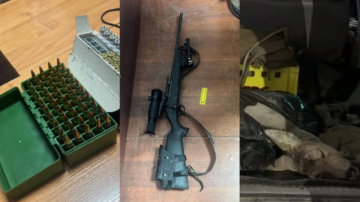 В Туркестанской области полиция задержала браконьеров