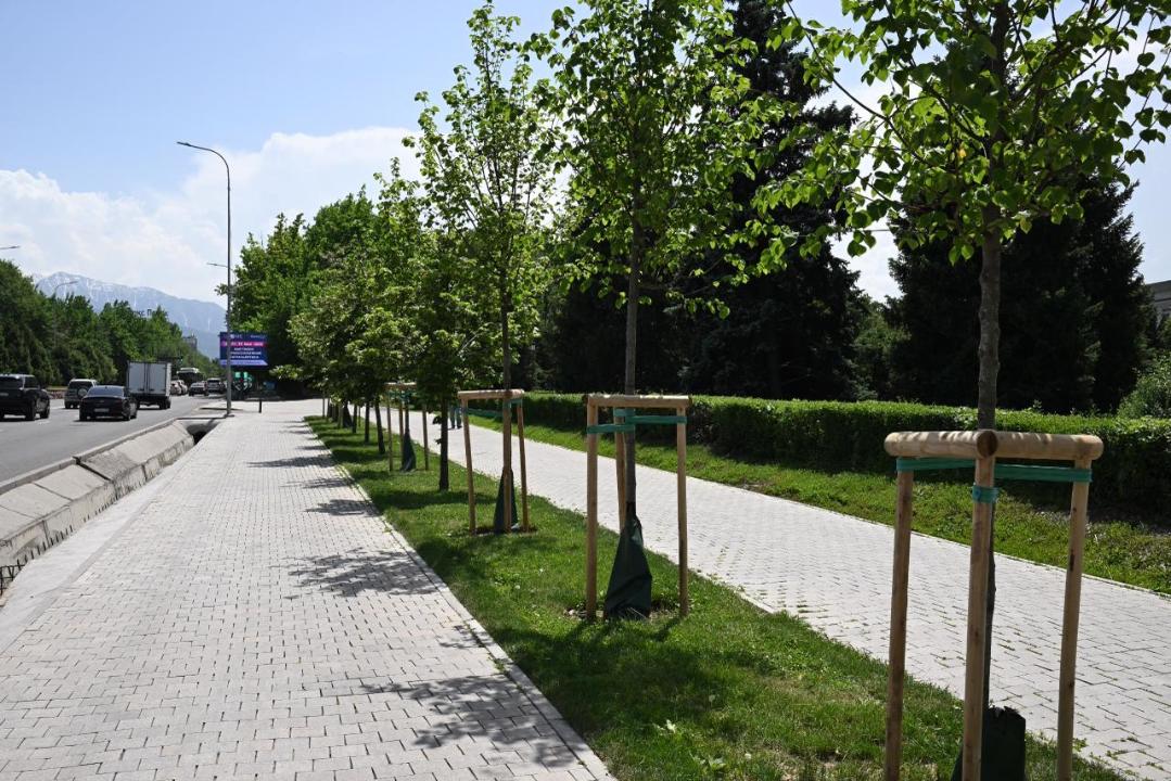 В Алматы к 2030 году доведут обеспеченность зелёными зонами до 15 кв. м на жителя