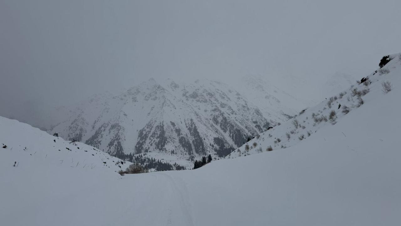 С ноября в горах Алматы и Жамбылской области сошли 23 лавины