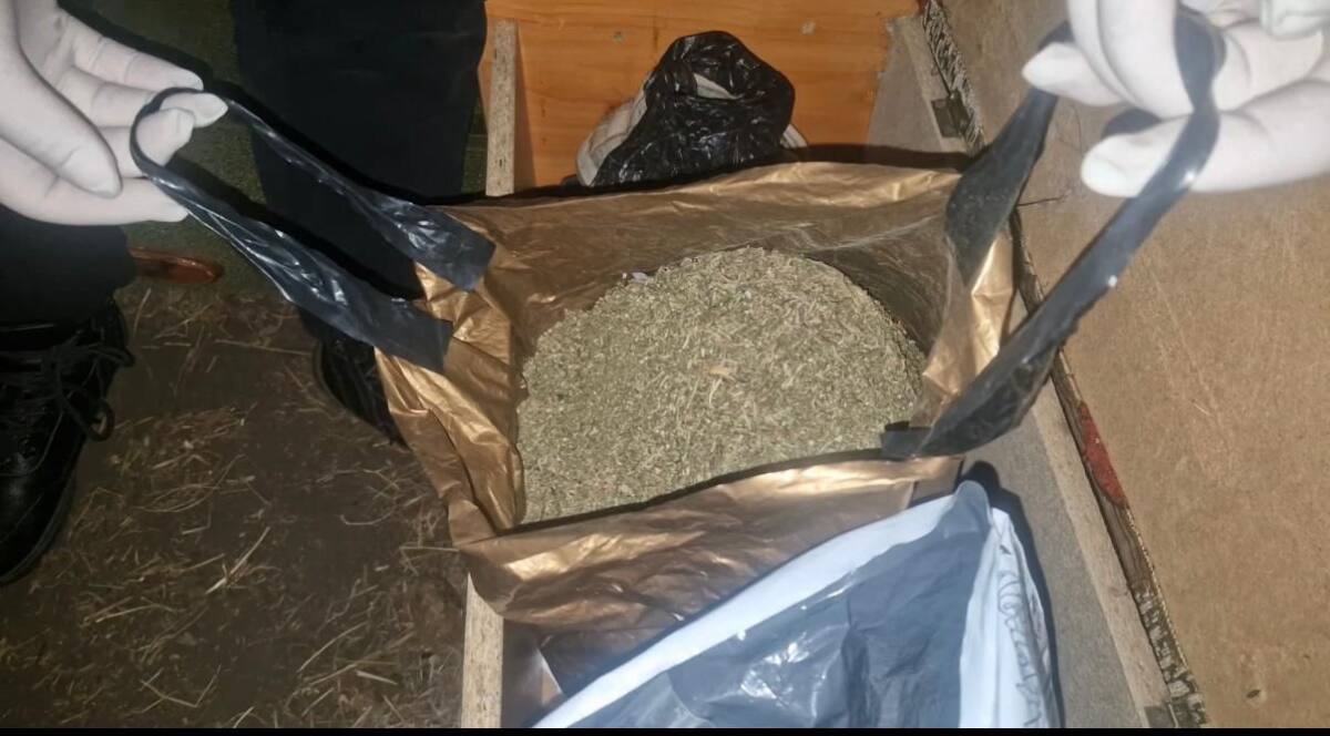 В ВКО изъяли крупную партию марихуаны
