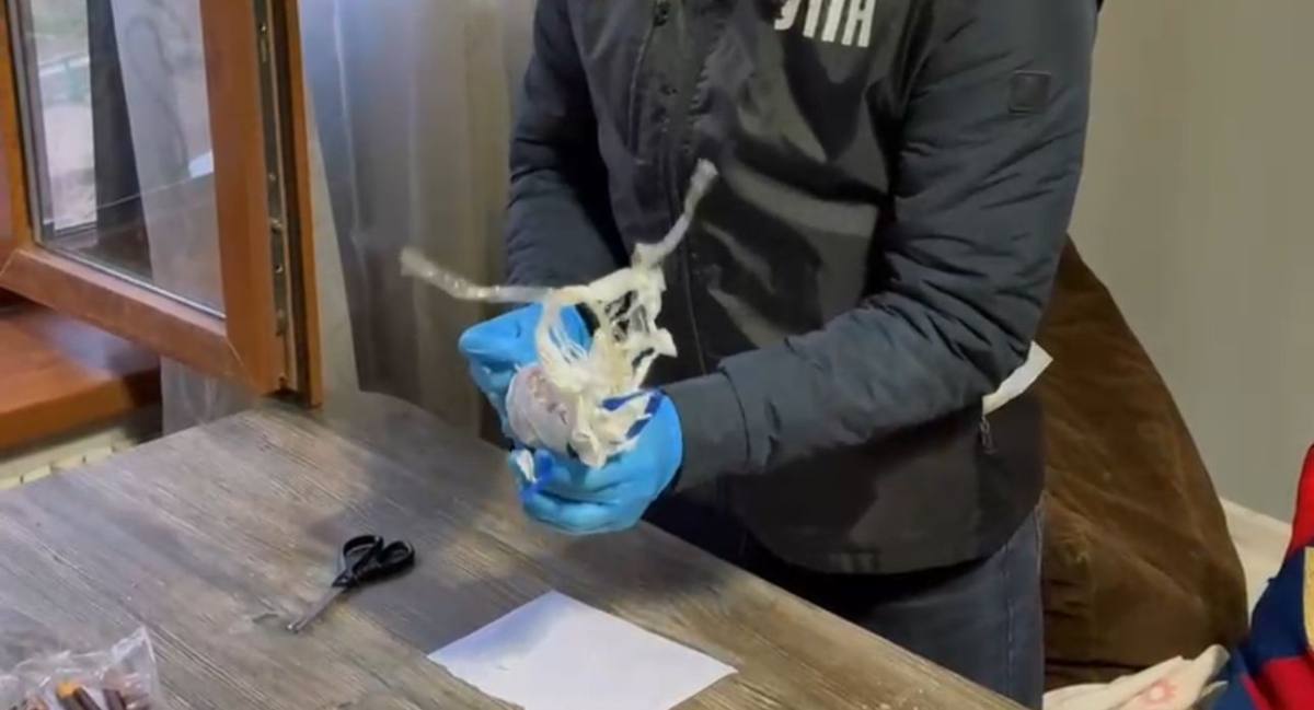 В Шымкенте у двух карагандинцев изъяли наркотики в особо крупном размере