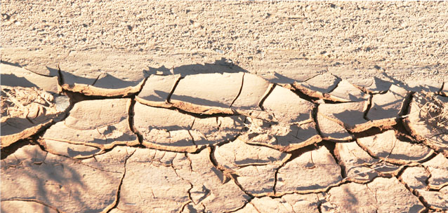 Почему ядовитые вещества со дна высыхающего Арала находят в Антарктиде?