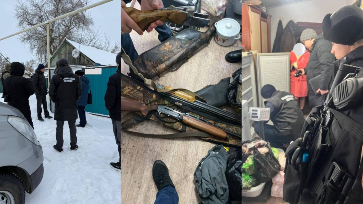 В Костанайской области полицейские выявили незаконную добычу сайгака