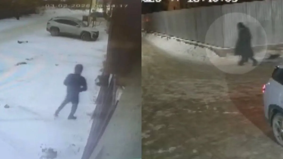 Полиция Астаны задержала карагандинских домушников