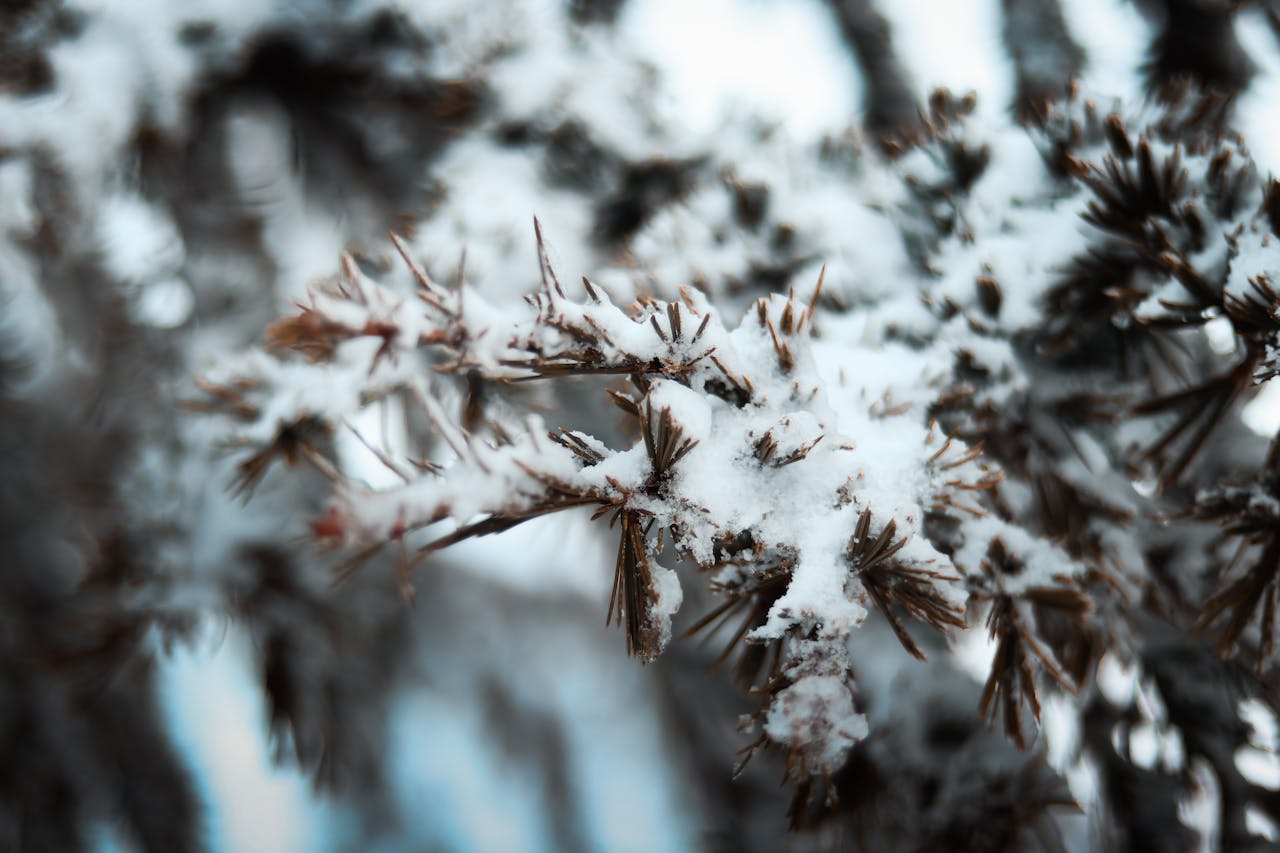 Школьников Астаны снова отправили на дистанционку