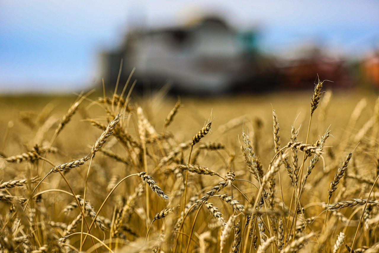 В Казахстане реализуются проекты по глубокой переработке в АПК