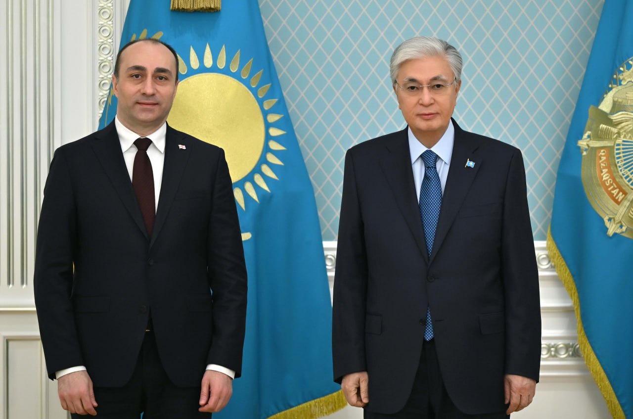 Президент принял министра внутренних дел Грузии Гелу Геладзе