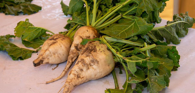 Дефицит сахара в Казахстане: что делается, для того чтобы его избежать