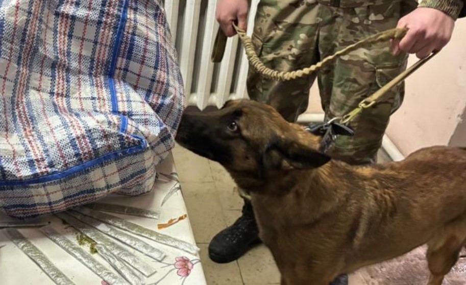 Наркотики в ремне сумки пытались пронести в колонию в Кызылординской области